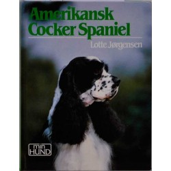 Amerikansk Cocker Spaniel