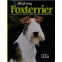 Foxterrier