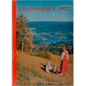 Lillehammer 1970 - veiviser for Lillehammer og omland