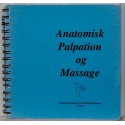 Anatomisk Palpation og Massage