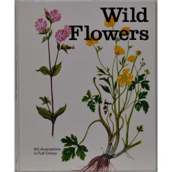 Wild Flowers - 60 illustrations in Full Colour by Michael Stringer