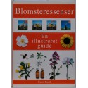 Blomsteressenser - en illustreret guide