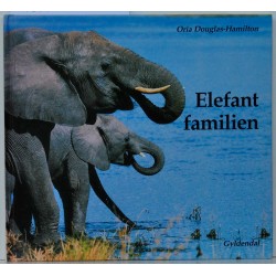 Elefant familien