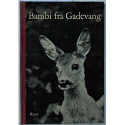 Bambi fra Gadevang