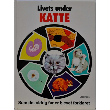 Livets under – katte