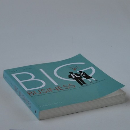 Big Business - en håndbog for iværksættere, selvstændige og andre der ønsker succes i erhvervslivet