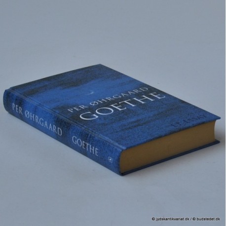 Goethe - et essay