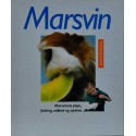 Marsvin - marsvinets pleje, fodring, adfærd og opdræt