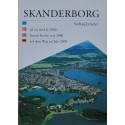 Skanderborg - Søhøjlandet på vej mod år 2000