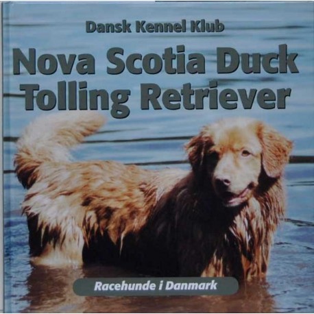 Nova Scotia Duck Tolling Retriever